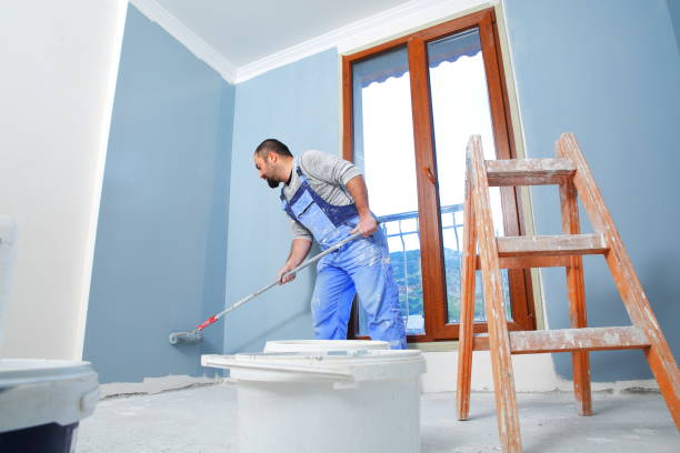Best Mold Remediation for Healthcare Facilities  in Pacific, MO