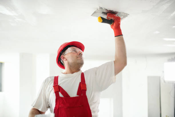 Best Mold-Related Health Consultation  in Pacific, MO